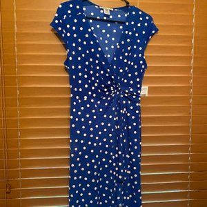 Robbie Bee Blue & White Polka Dot Dress